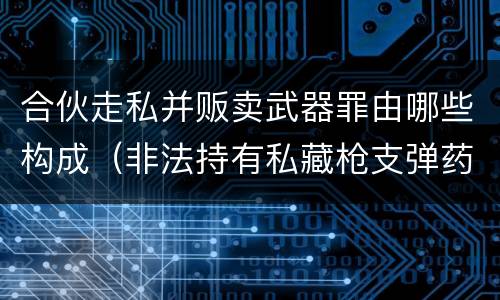 合伙走私并贩卖武器罪由哪些构成（非法持有私藏枪支弹药罪的主体）