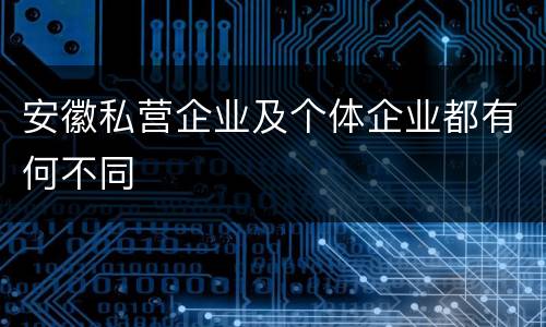 安徽私营企业及个体企业都有何不同