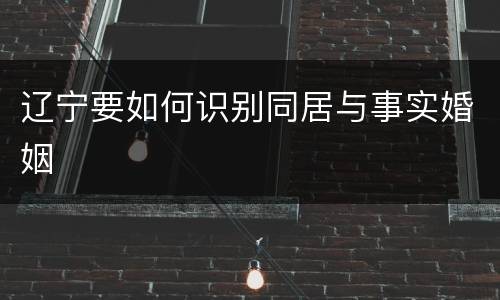 辽宁要如何识别同居与事实婚姻