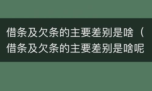 借条及欠条的主要差别是啥（借条及欠条的主要差别是啥呢）