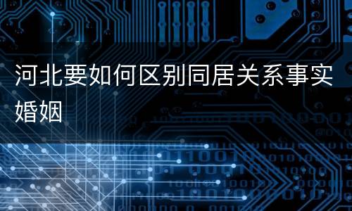 河北要如何区别同居关系事实婚姻