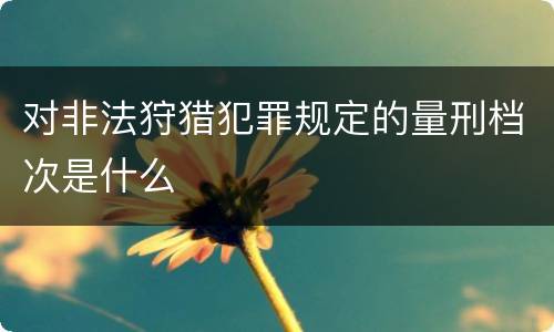 对非法狩猎犯罪规定的量刑档次是什么