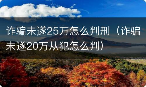 诈骗未遂25万怎么判刑（诈骗未遂20万从犯怎么判）