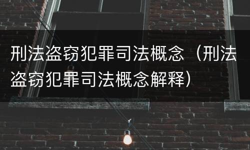 刑法盗窃犯罪司法概念（刑法盗窃犯罪司法概念解释）