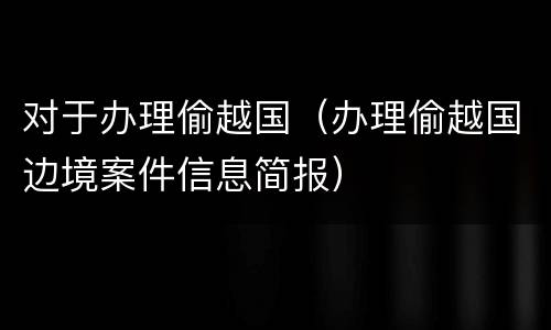 对于办理偷越国（办理偷越国边境案件信息简报）