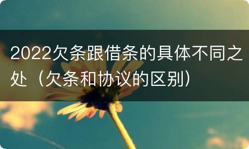 2022欠条跟借条的具体不同之处（欠条和协议的区别）