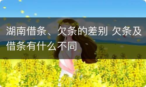 湖南借条、欠条的差别 欠条及借条有什么不同