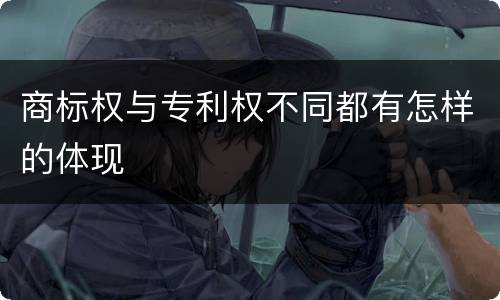 商标权与专利权不同都有怎样的体现