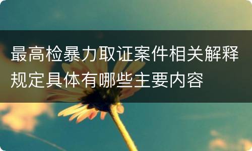 最高检暴力取证案件相关解释规定具体有哪些主要内容