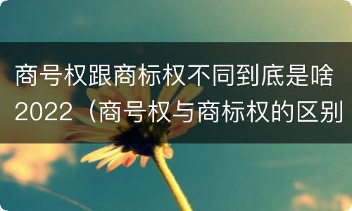 商号权跟商标权不同到底是啥2022（商号权与商标权的区别）