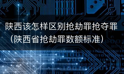 陕西该怎样区别抢劫罪抢夺罪（陕西省抢劫罪数额标准）
