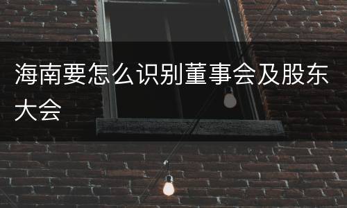 海南要怎么识别董事会及股东大会