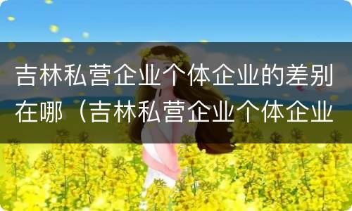 吉林私营企业个体企业的差别在哪（吉林私营企业个体企业的差别在哪呢）