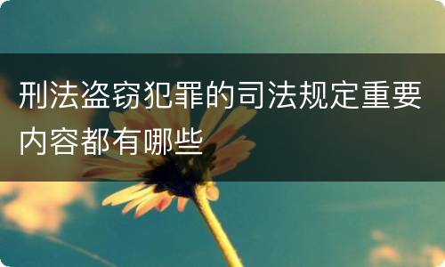 刑法盗窃犯罪的司法规定重要内容都有哪些