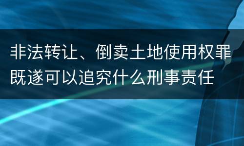 非法转让、倒卖土地使用权罪既遂可以追究什么刑事责任
