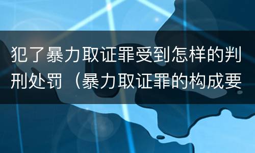 犯了暴力取证罪受到怎样的判刑处罚（暴力取证罪的构成要件）