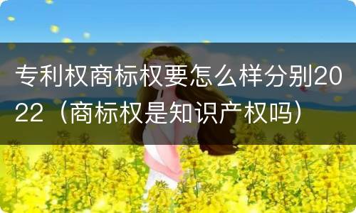 专利权商标权要怎么样分别2022（商标权是知识产权吗）