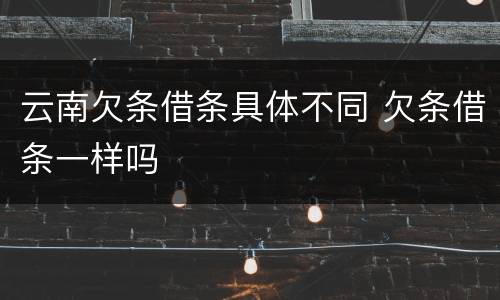 云南欠条借条具体不同 欠条借条一样吗