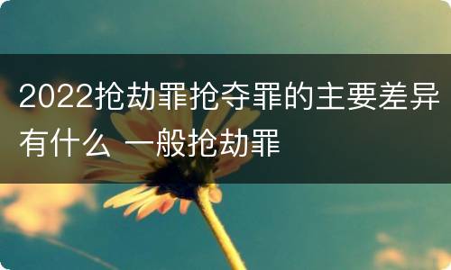 2022抢劫罪抢夺罪的主要差异有什么 一般抢劫罪