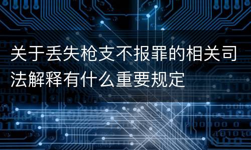 关于丢失枪支不报罪的相关司法解释有什么重要规定