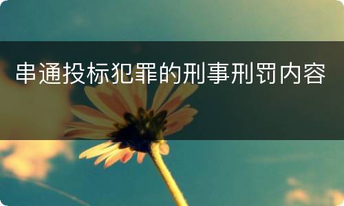 串通投标犯罪的刑事刑罚内容
