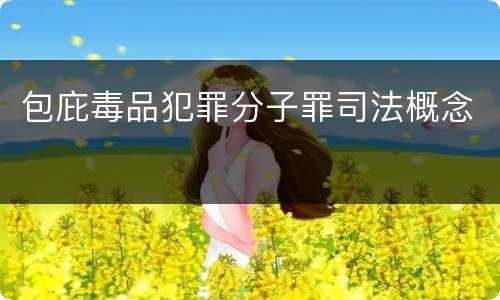包庇毒品犯罪分子罪司法概念