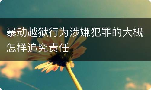 暴动越狱行为涉嫌犯罪的大概怎样追究责任