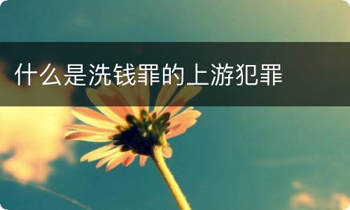 什么是洗钱罪的上游犯罪