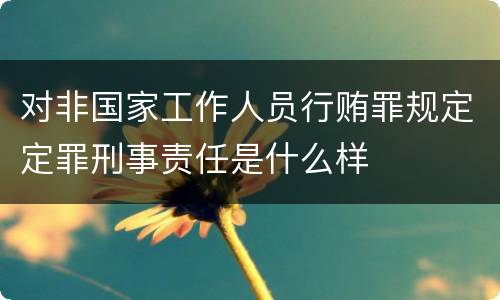 对非国家工作人员行贿罪规定定罪刑事责任是什么样