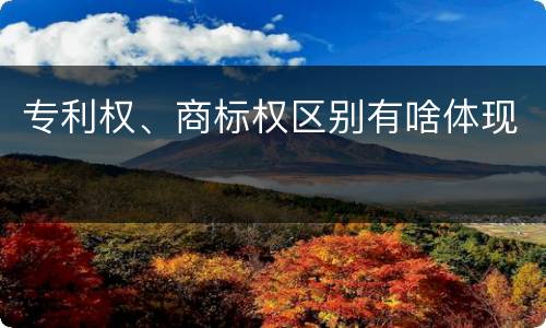 专利权、商标权区别有啥体现