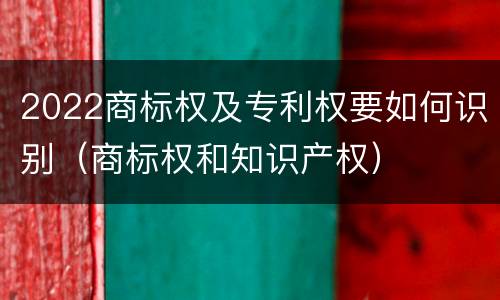2022商标权及专利权要如何识别（商标权和知识产权）