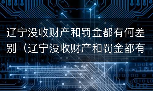辽宁没收财产和罚金都有何差别（辽宁没收财产和罚金都有何差别呢）