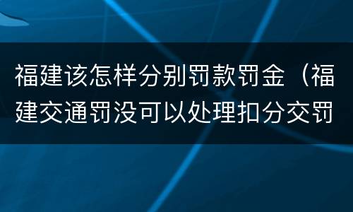 福建该怎样分别罚款罚金（福建交通罚没可以处理扣分交罚款吗）