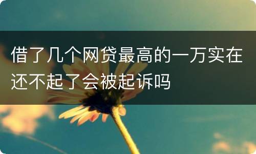 借了几个网贷最高的一万实在还不起了会被起诉吗