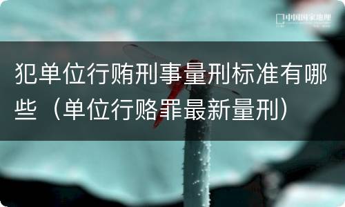 犯单位行贿刑事量刑标准有哪些（单位行赂罪最新量刑）