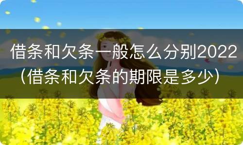 借条和欠条一般怎么分别2022（借条和欠条的期限是多少）