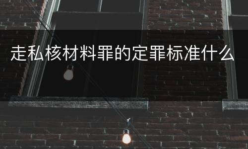 走私核材料罪的定罪标准什么