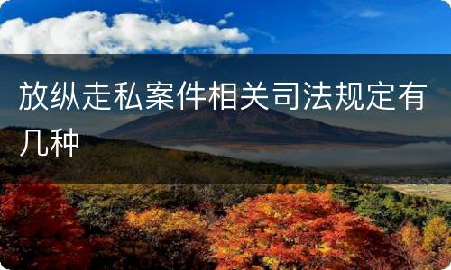 放纵走私案件相关司法规定有几种