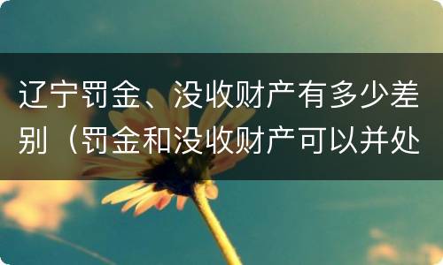 辽宁罚金、没收财产有多少差别（罚金和没收财产可以并处吗）
