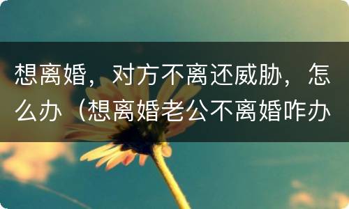 想离婚，对方不离还威胁，怎么办（想离婚老公不离婚咋办还威胁）