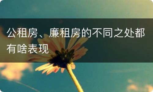 公租房、廉租房的不同之处都有啥表现