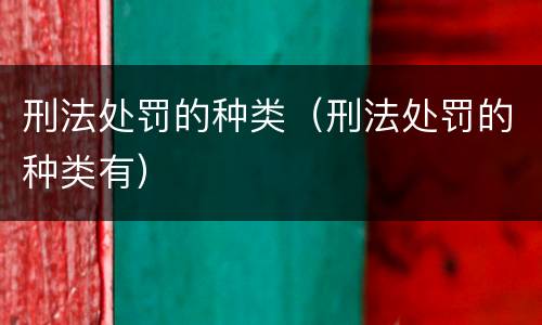 刑法处罚的种类（刑法处罚的种类有）
