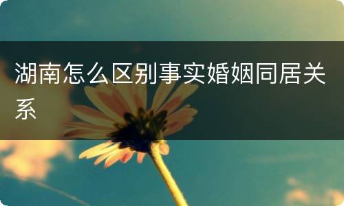 湖南怎么区别事实婚姻同居关系