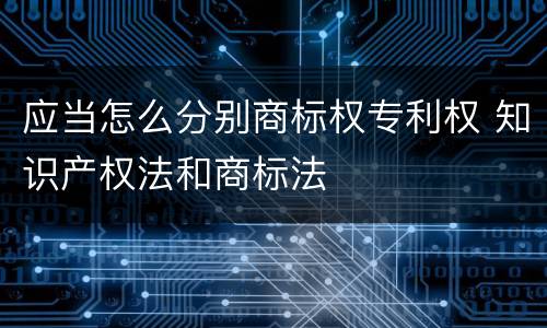 应当怎么分别商标权专利权 知识产权法和商标法