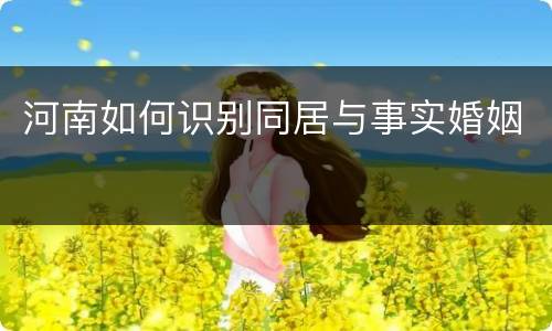 河南如何识别同居与事实婚姻