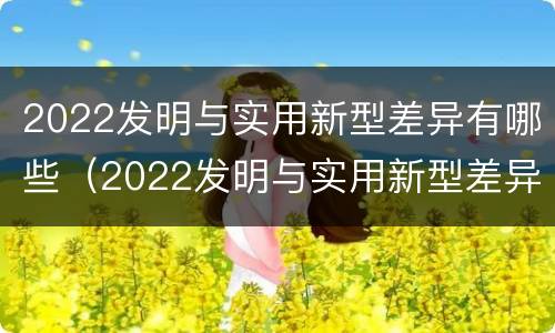 2022发明与实用新型差异有哪些（2022发明与实用新型差异有哪些呢）