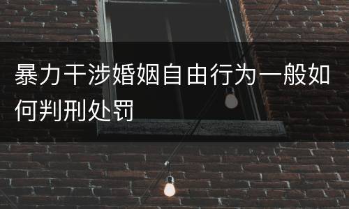 暴力干涉婚姻自由行为一般如何判刑处罚