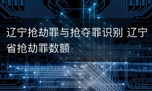 辽宁抢劫罪与抢夺罪识别 辽宁省抢劫罪数额