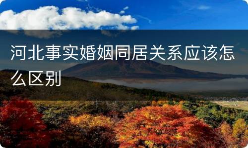 河北事实婚姻同居关系应该怎么区别