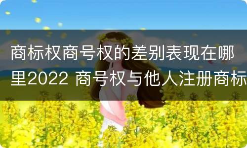 商标权商号权的差别表现在哪里2022 商号权与他人注册商标专用权的冲突